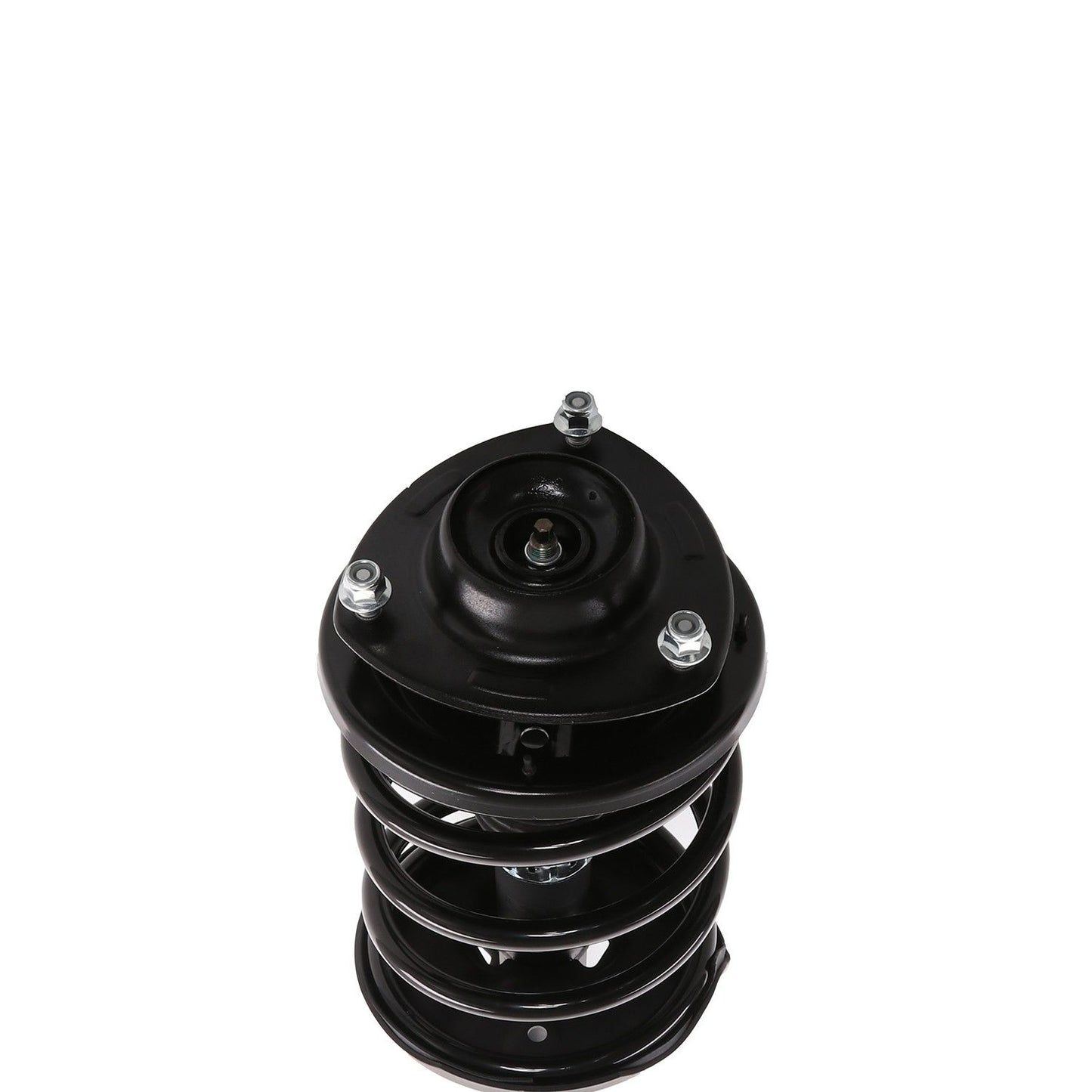 PRT Suspension Strut and Coil Spring Assembly 818184