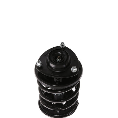 PRT Suspension Strut and Coil Spring Assembly 818184