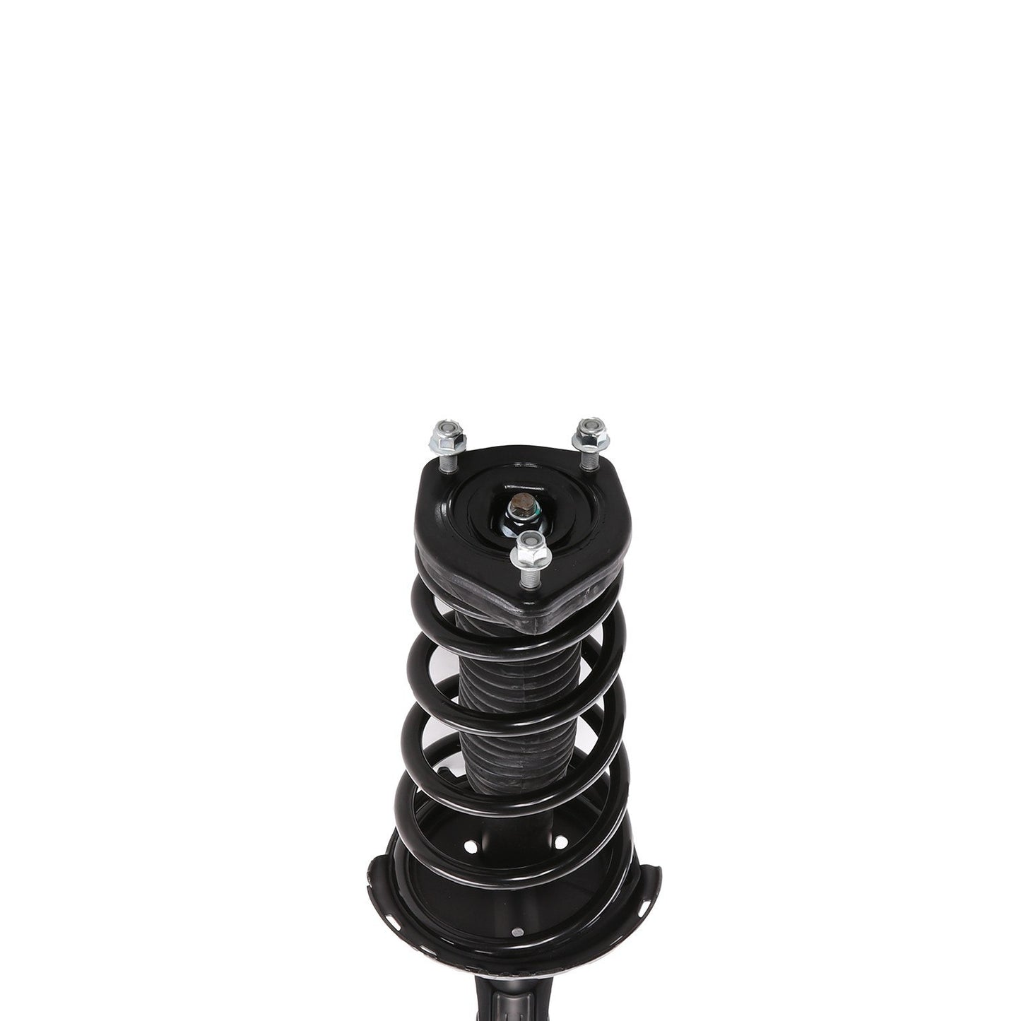 PRT Suspension Strut and Coil Spring Assembly 818187