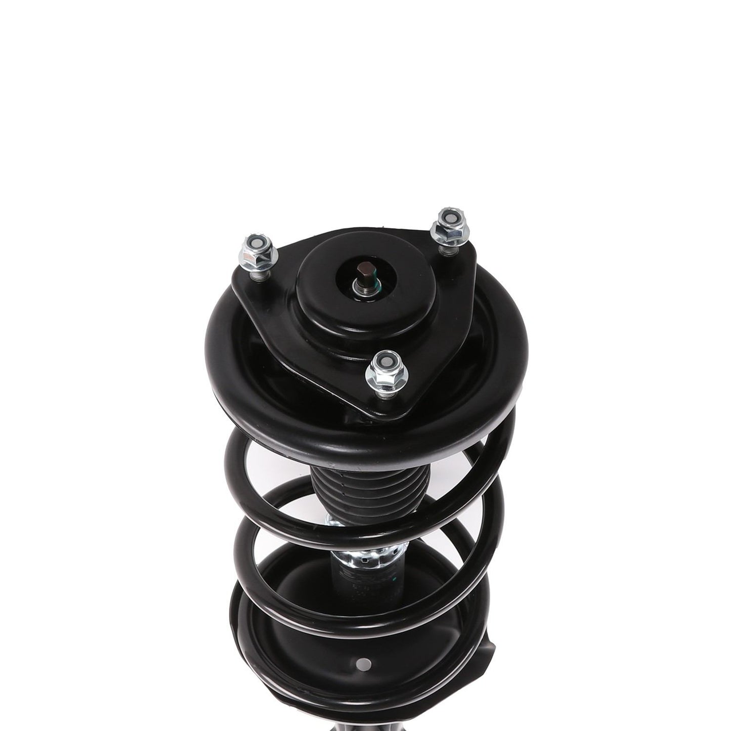 PRT Suspension Strut and Coil Spring Assembly 818191