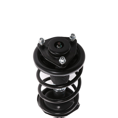 PRT Suspension Strut and Coil Spring Assembly 818192