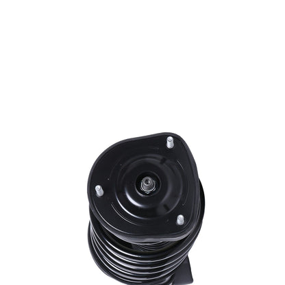 PRT Suspension Strut and Coil Spring Assembly 818193