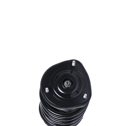 PRT Suspension Strut and Coil Spring Assembly 818194