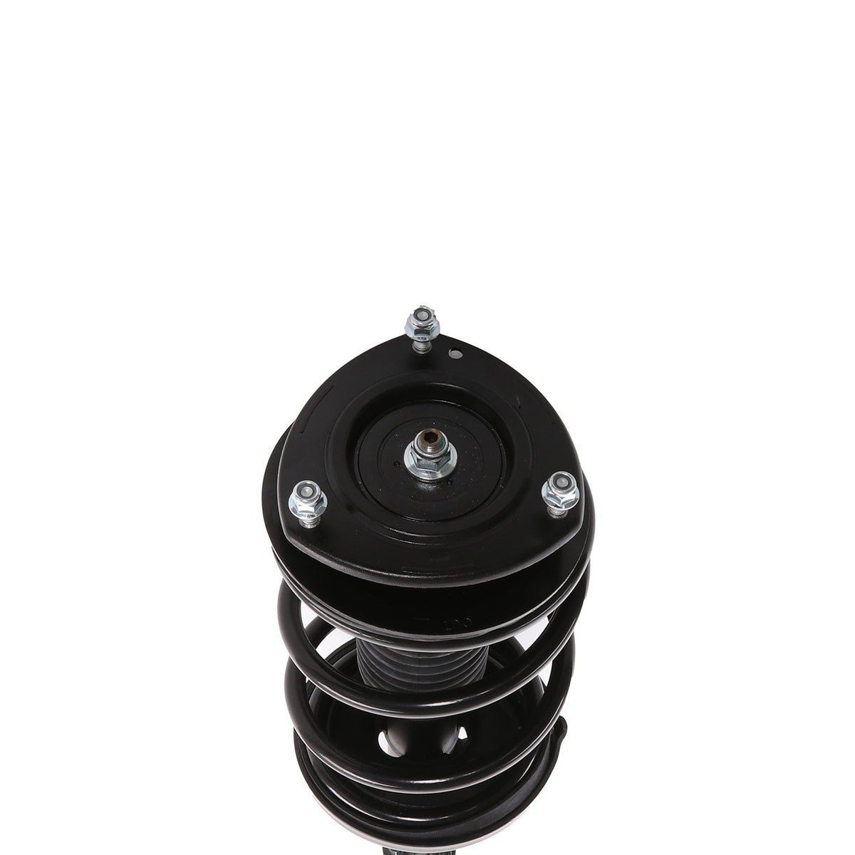 PRT Suspension Strut and Coil Spring Assembly 818196