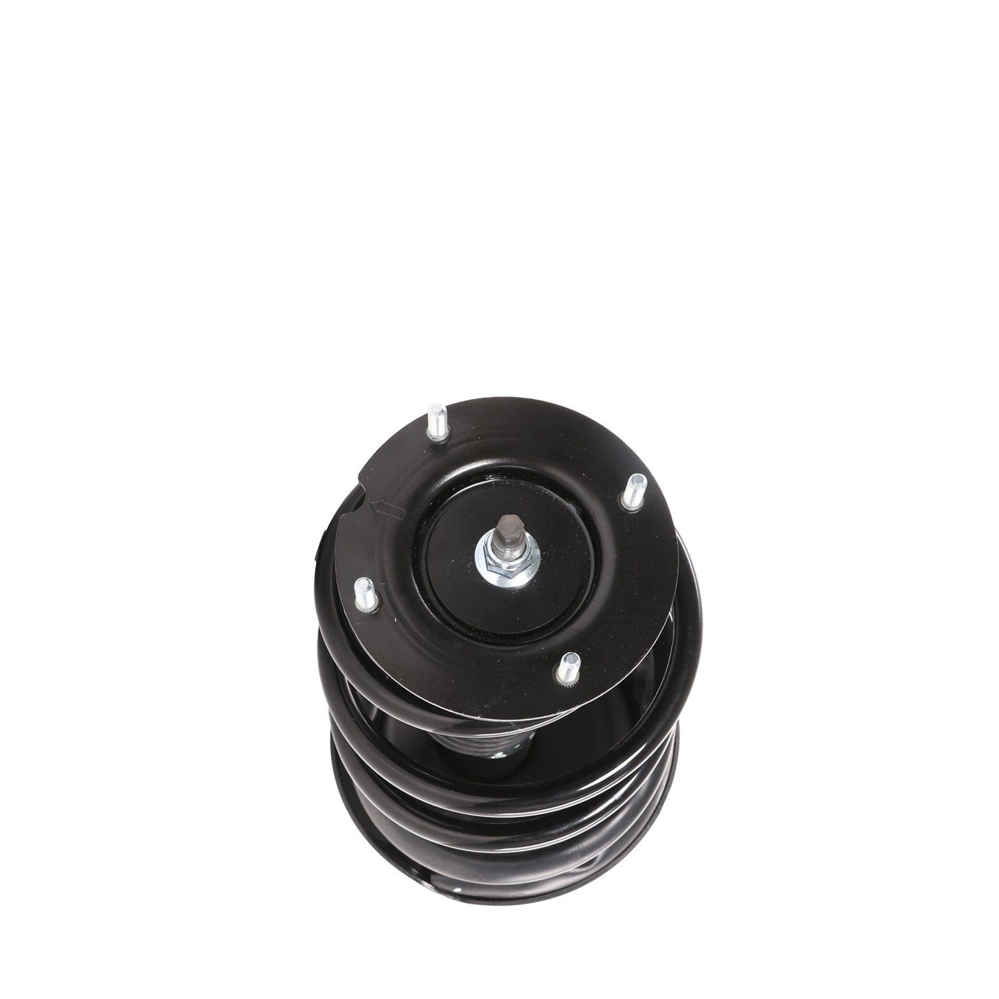 PRT Suspension Strut and Coil Spring Assembly 818201