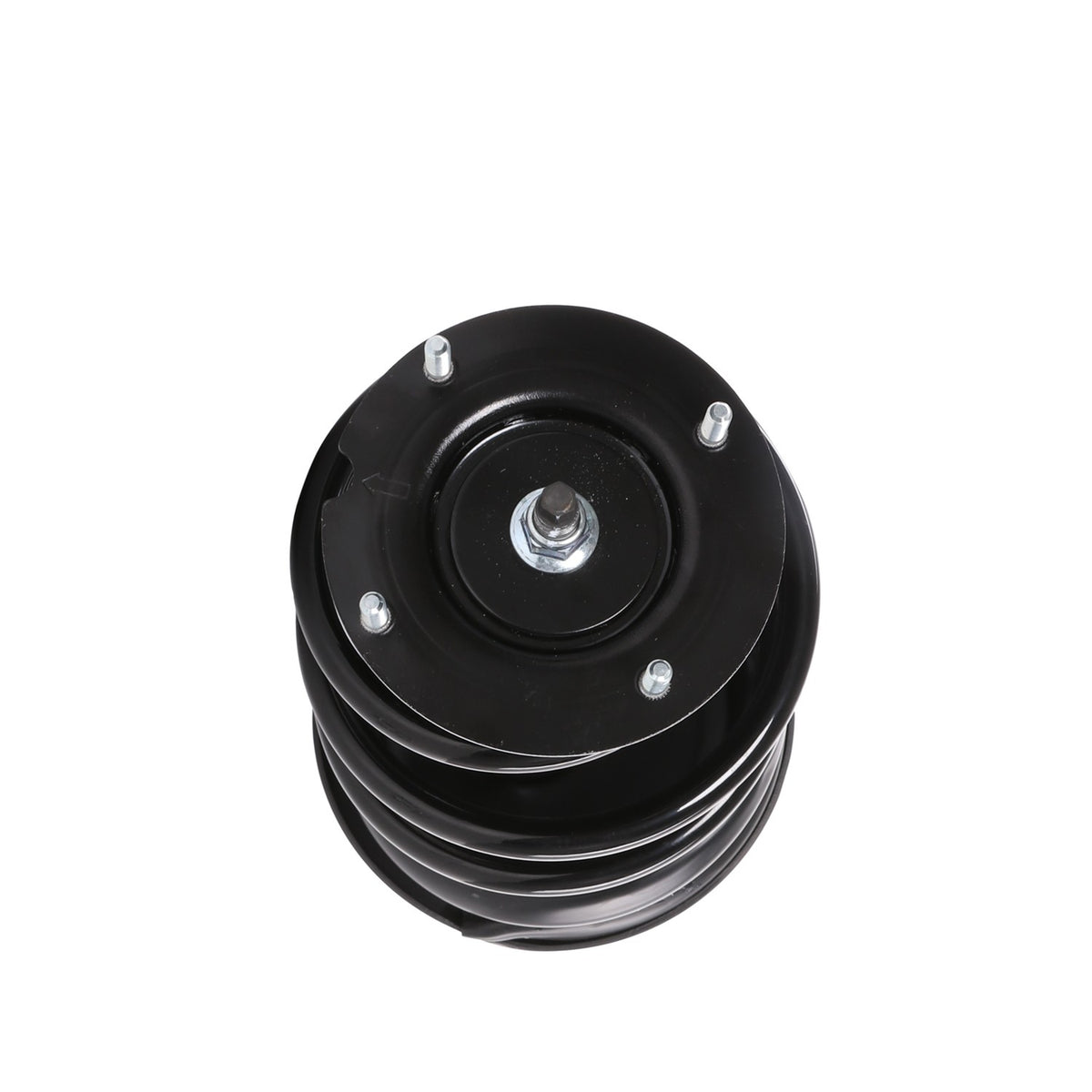 PRT Complete Strut Assembly 818202