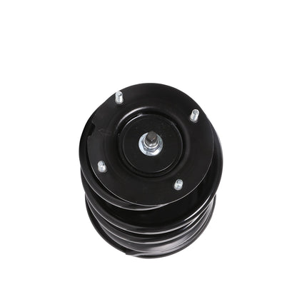 PRT Complete Strut Assembly 818202