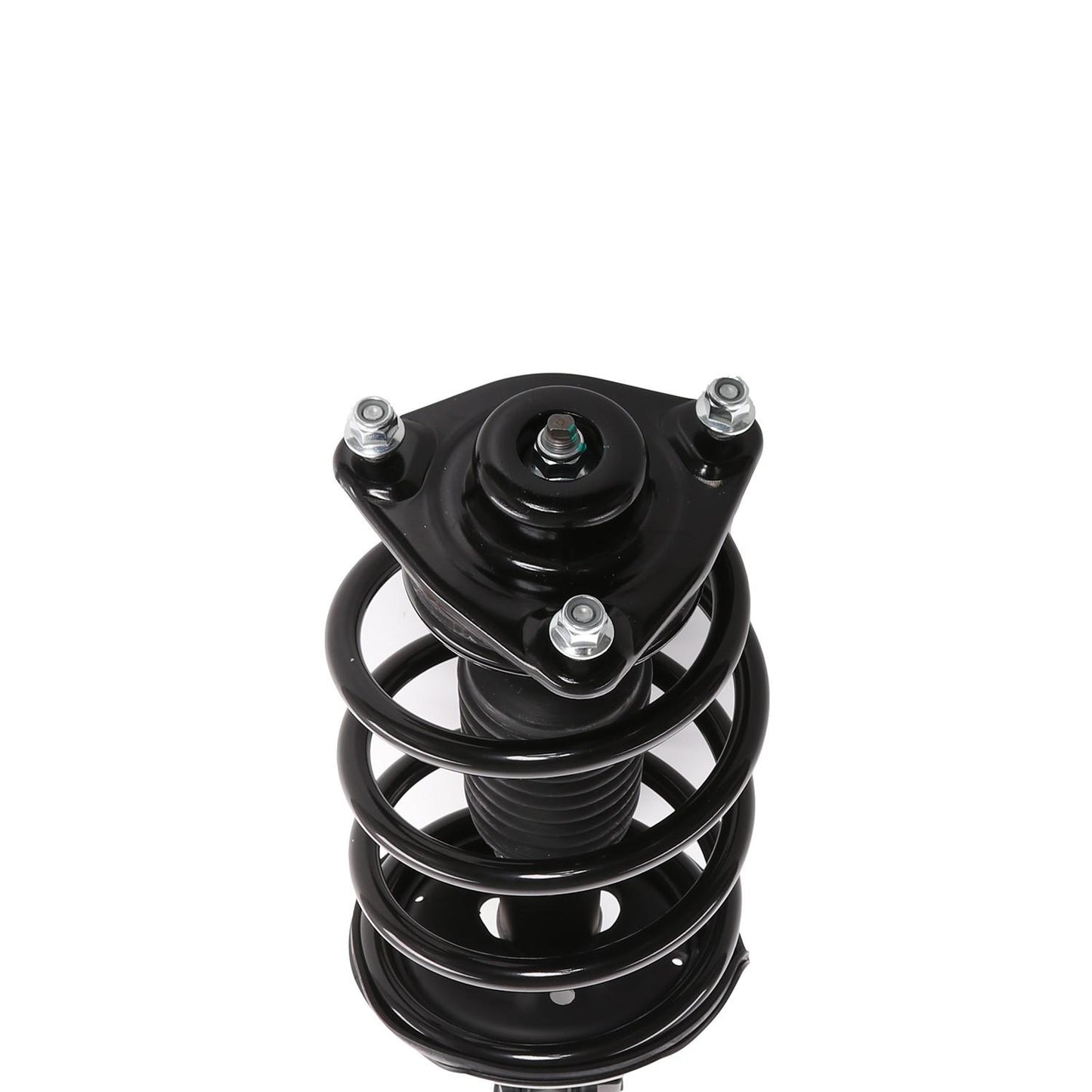 PRT Suspension Strut and Coil Spring Assembly 818204