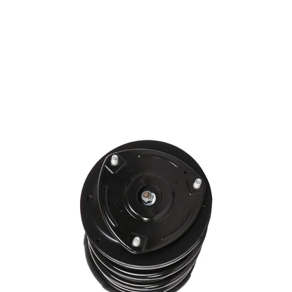PRT PRT Complete Strut Assembly 818205