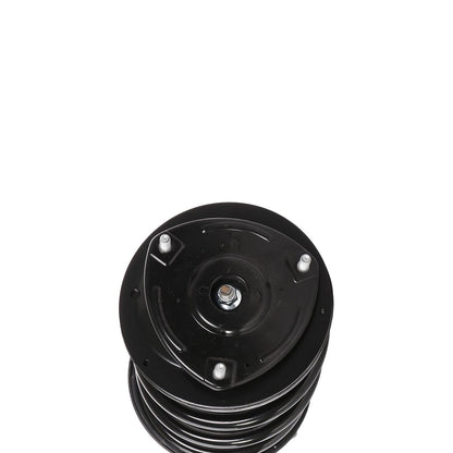 PRT Suspension Strut and Coil Spring Assembly 818206