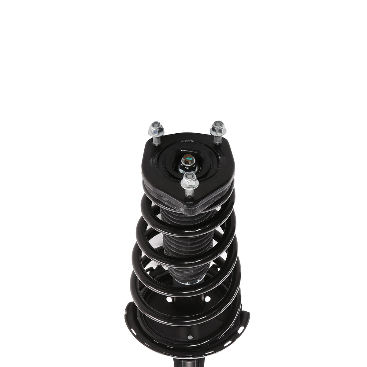 PRT Suspension Strut and Coil Spring Assembly 818219