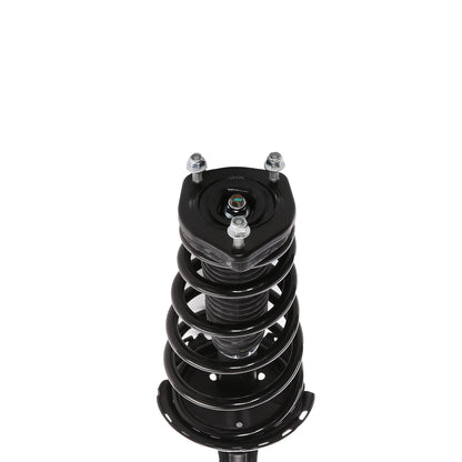 PRT Suspension Strut and Coil Spring Assembly 818219