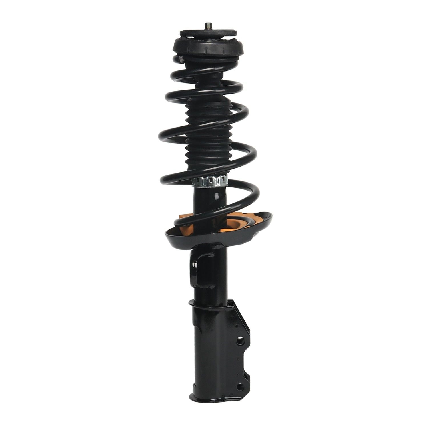 PRT Suspension Strut and Coil Spring Assembly 818221