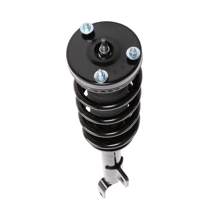 PRT Suspension Strut and Coil Spring Assembly 818285