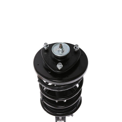 PRT PRT Complete Strut Assembly 818289