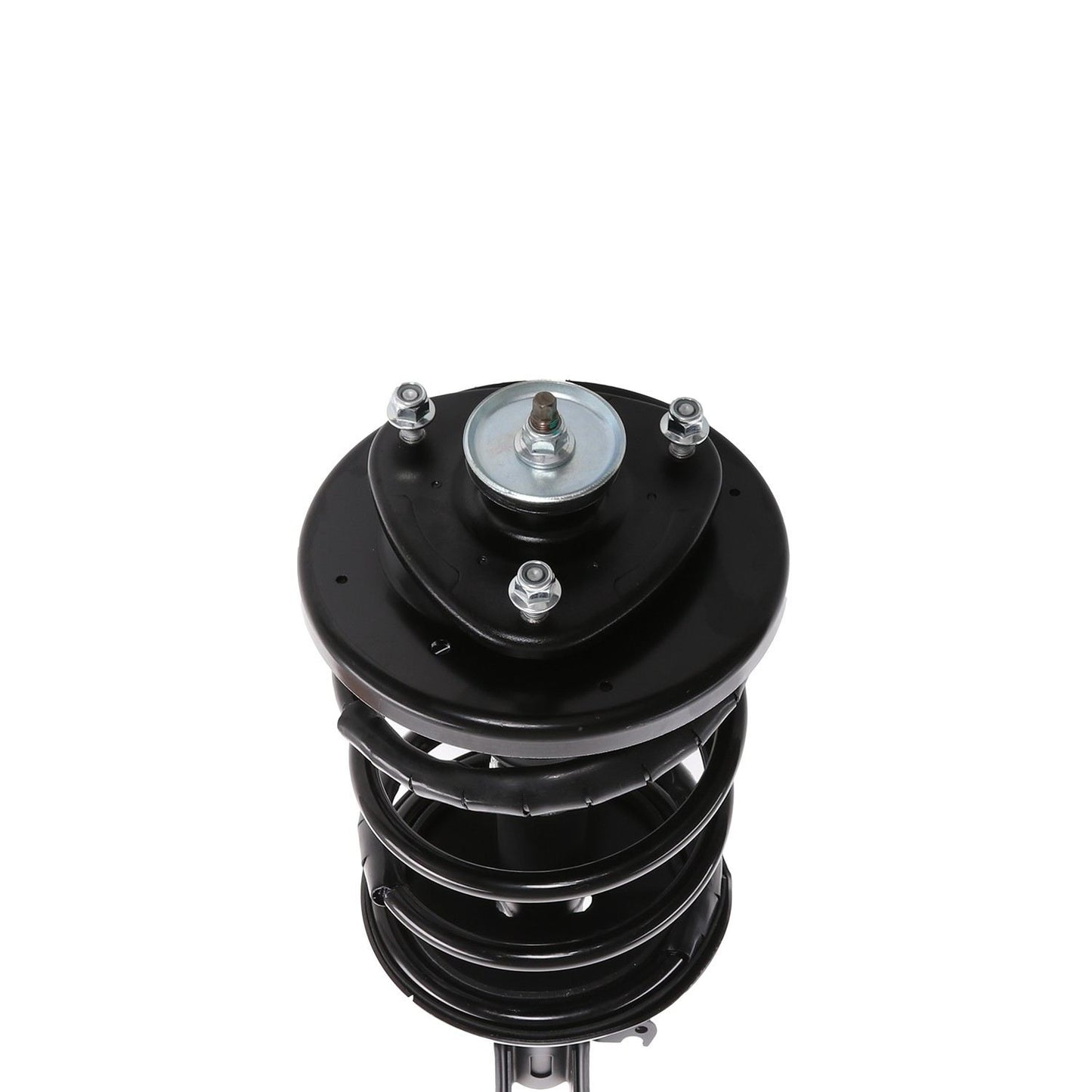 PRT Suspension Strut and Coil Spring Assembly 818289