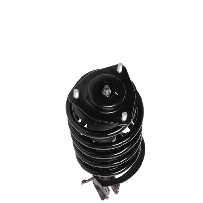 PRT Suspension Strut and Coil Spring Assembly 818304