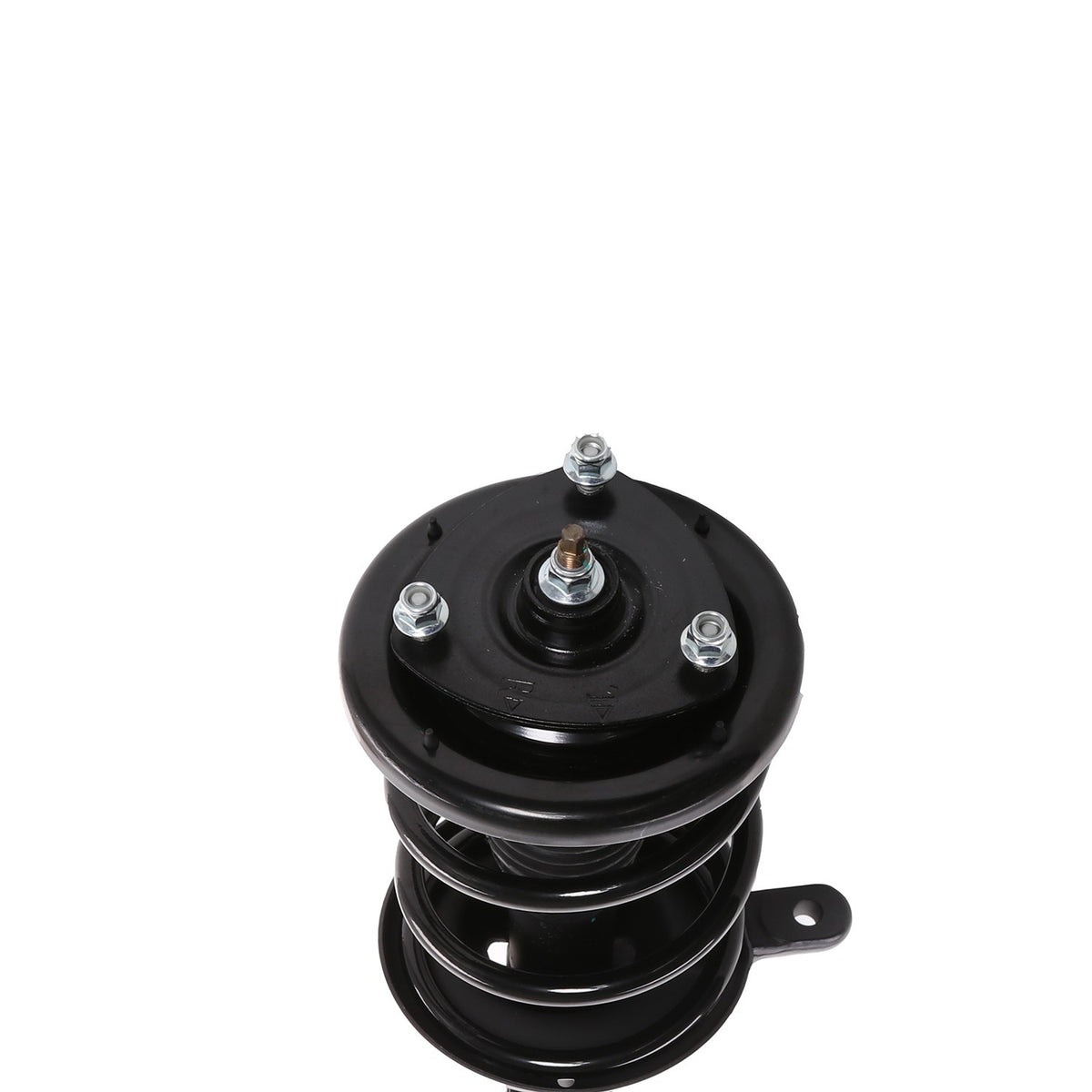 PRT Suspension Strut and Coil Spring Assembly 818310