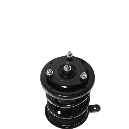 PRT Suspension Strut and Coil Spring Assembly 818310