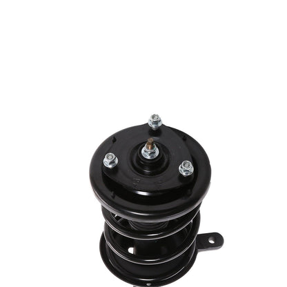 PRT Suspension Strut and Coil Spring Assembly 818310