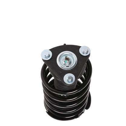 PRT Suspension Strut and Coil Spring Assembly 818313