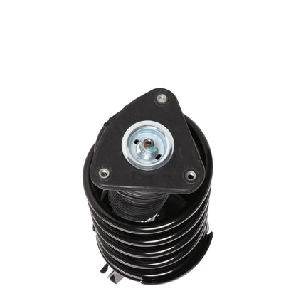 PRT Suspension Strut and Coil Spring Assembly 818314