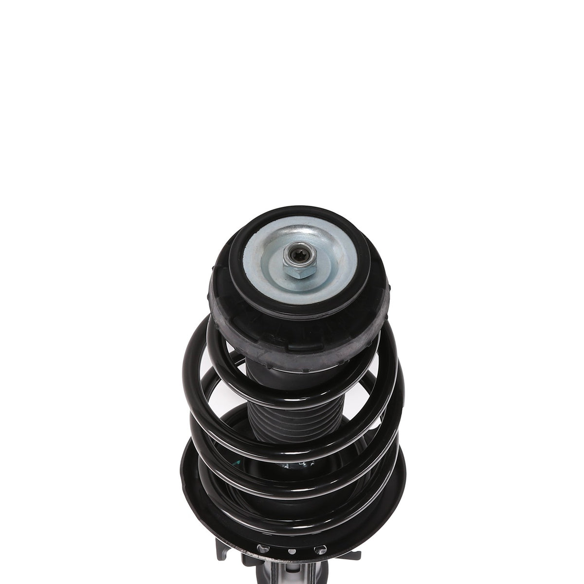 PRT Suspension Strut and Coil Spring Assembly 818323