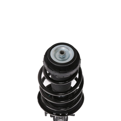 PRT Suspension Strut and Coil Spring Assembly 818323