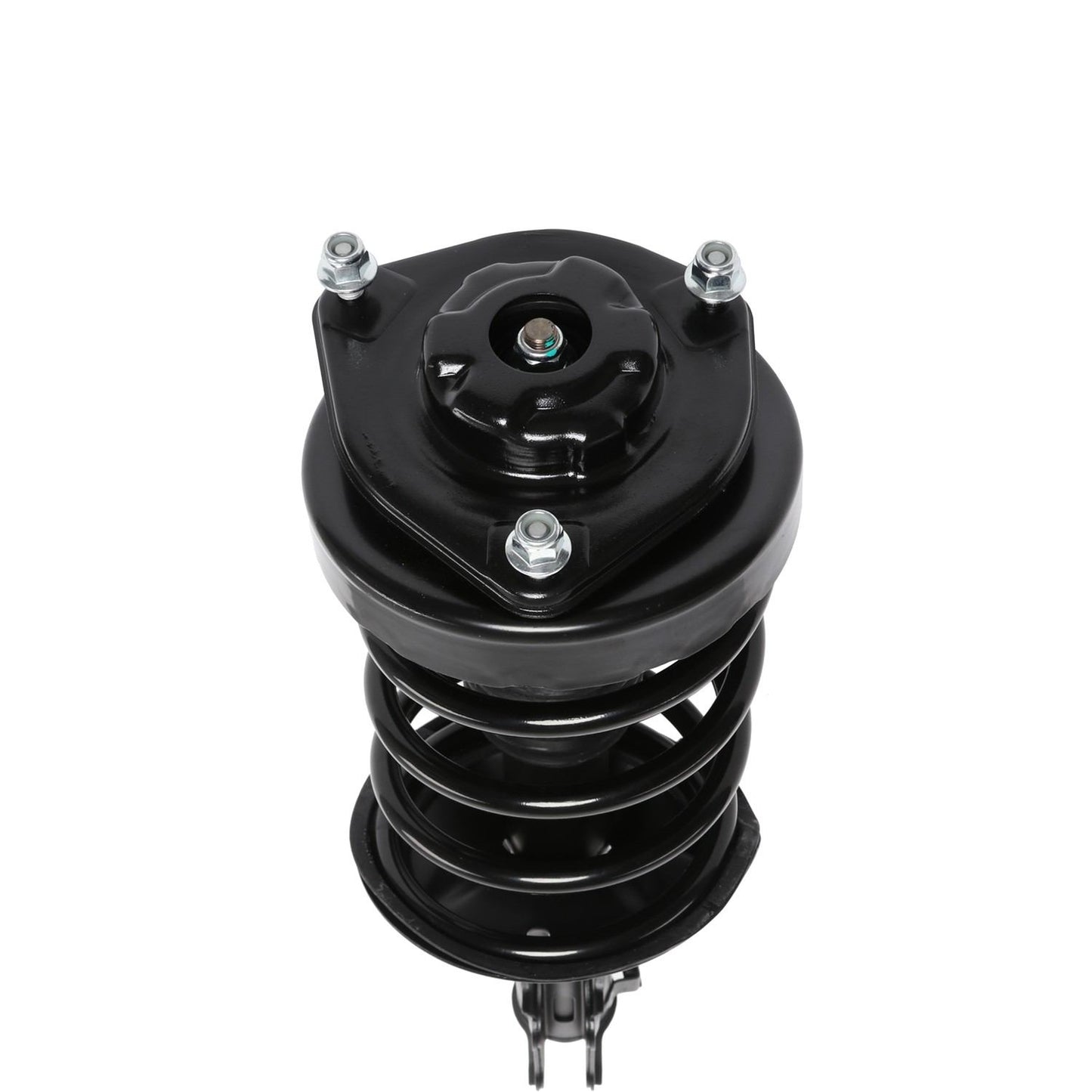 PRT Suspension Strut and Coil Spring Assembly 818330