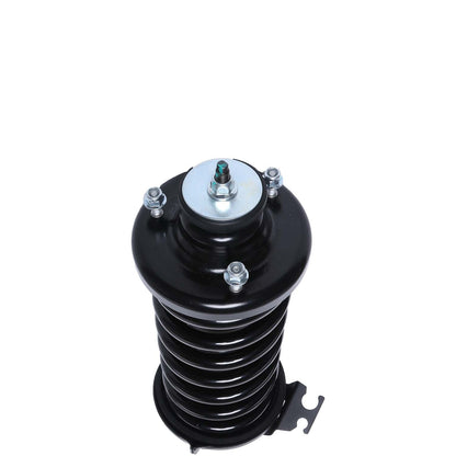 PRT Complete Strut Assembly 818562