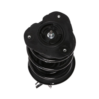 PRT Suspension Strut and Coil Spring Assembly 818588