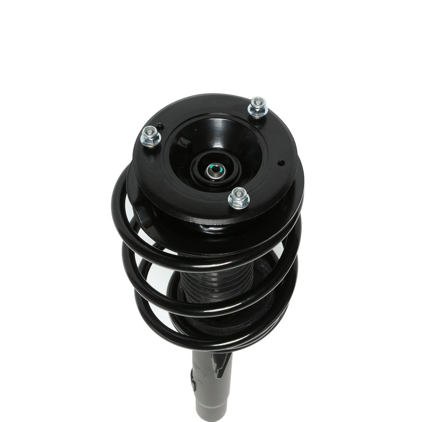 PRT Suspension Strut and Coil Spring Assembly 818607