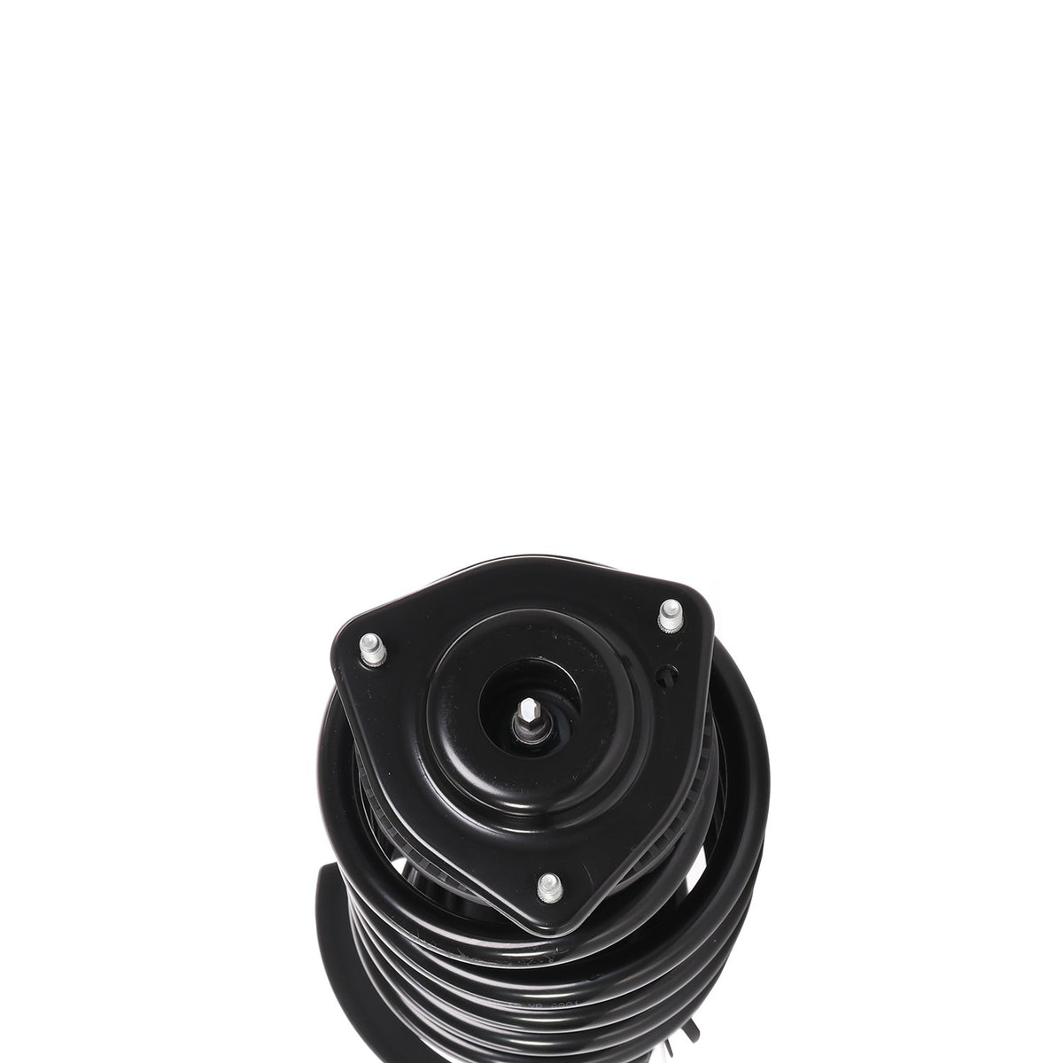 PRT Performance Ride PRT Complete Strut Assembly 818615