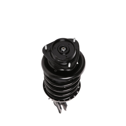 PRT Suspension Strut and Coil Spring Assembly 818631
