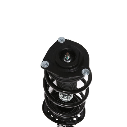 PRT Suspension Strut and Coil Spring Assembly 818690