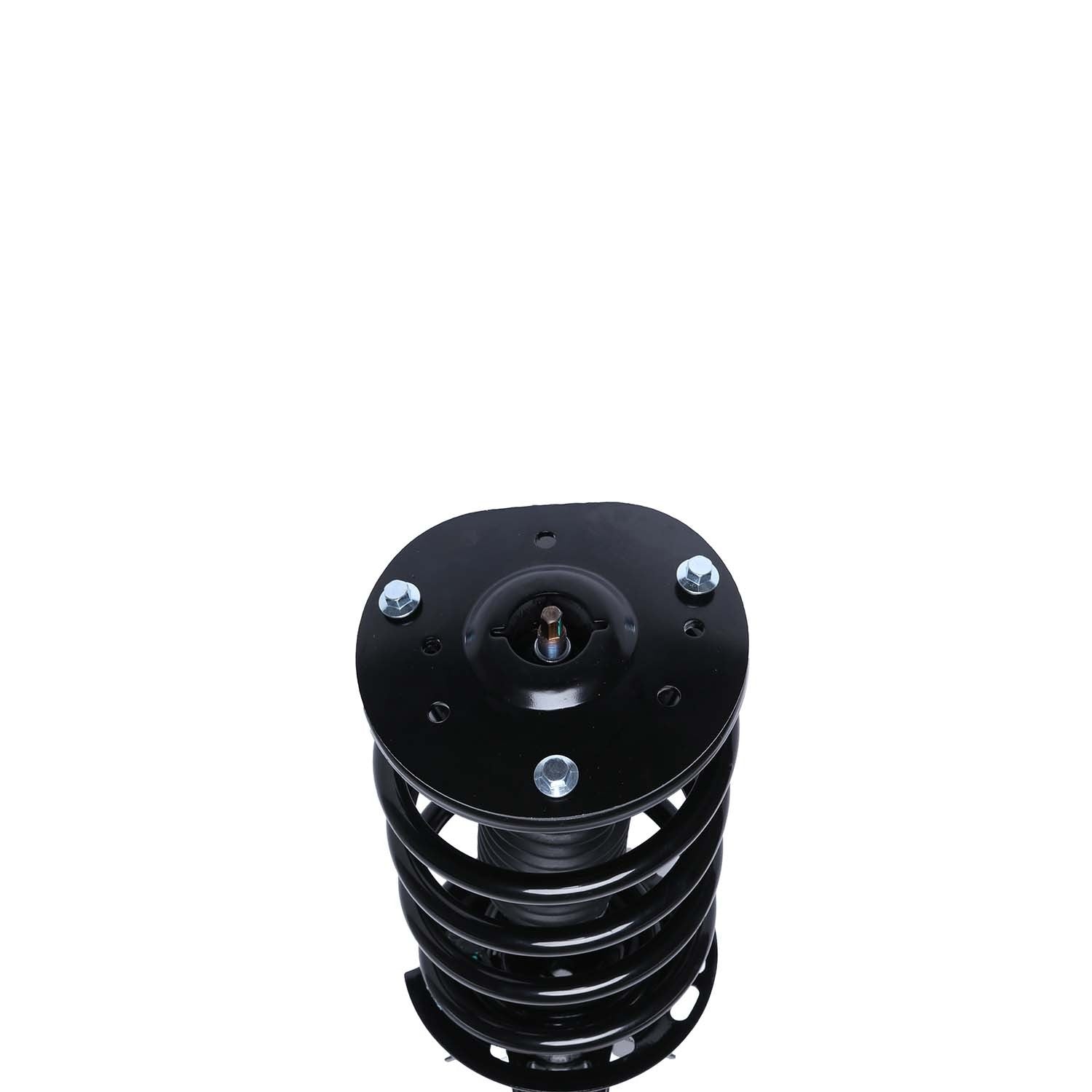 PRT Suspension Strut and Coil Spring Assembly 818899