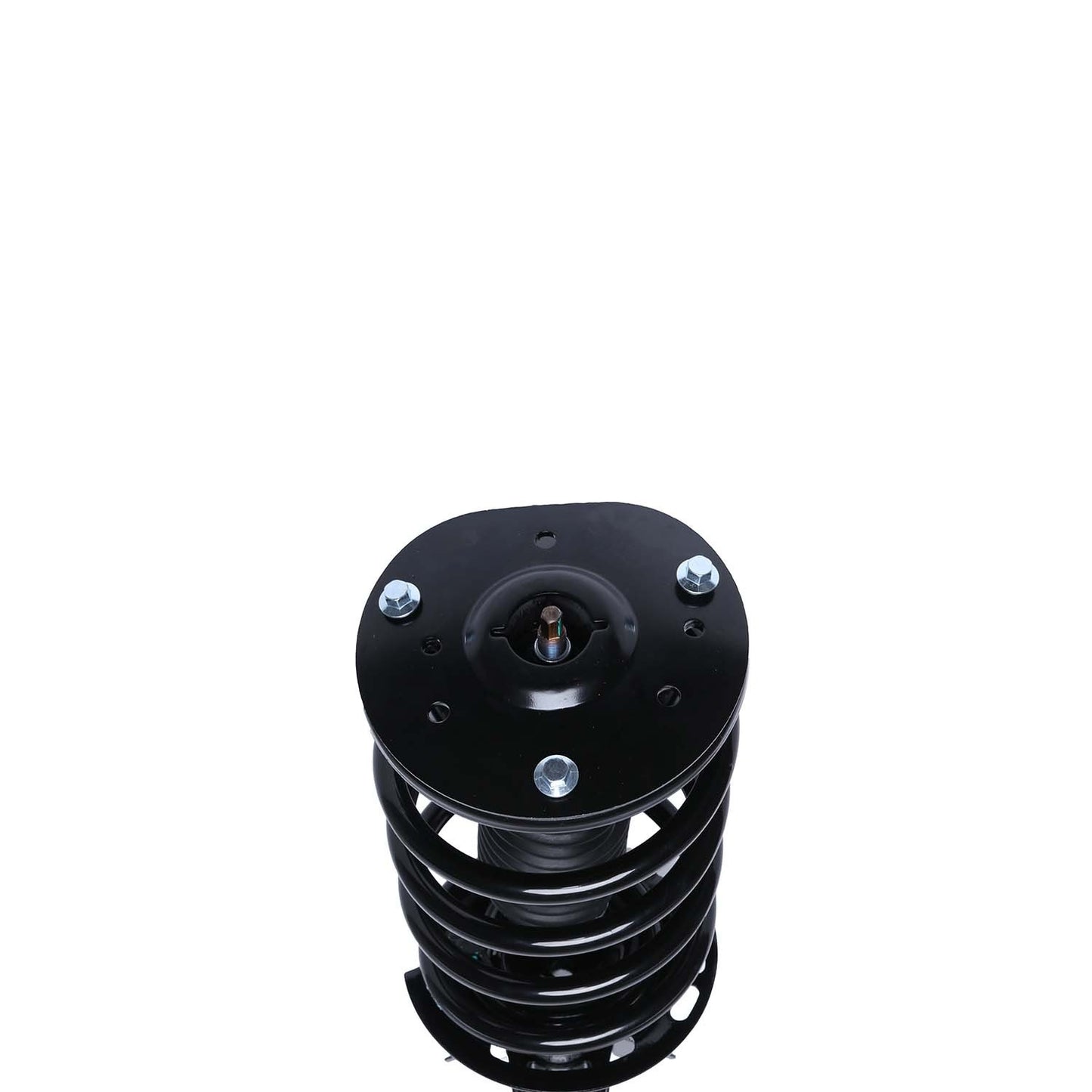 PRT Suspension Strut and Coil Spring Assembly 818899