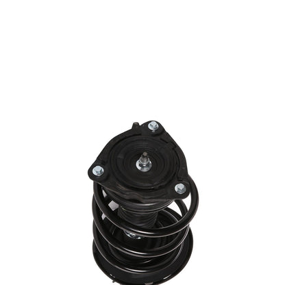 PRT Suspension Strut and Coil Spring Assembly 818907