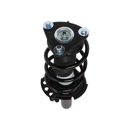 PRT Suspension Strut and Coil Spring Assembly 818910