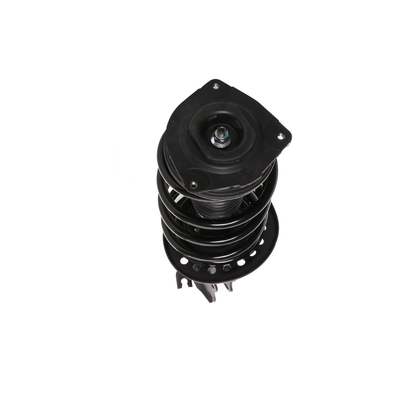 PRT Suspension Strut and Coil Spring Assembly 818911
