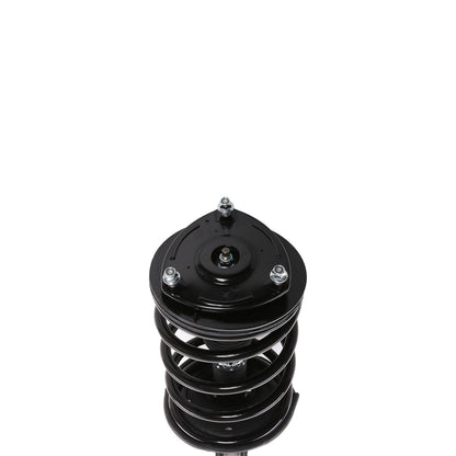 PRT Suspension Strut and Coil Spring Assembly 818914