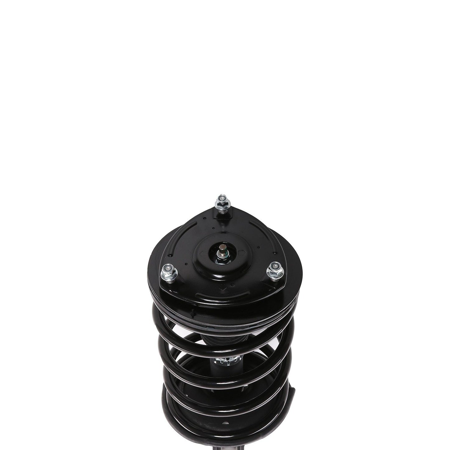 PRT Suspension Strut and Coil Spring Assembly 818914