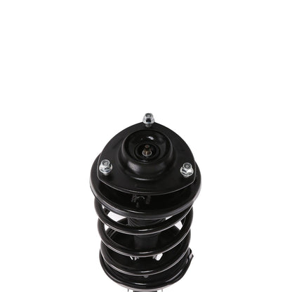 PRT Suspension Strut and Coil Spring Assembly 818939