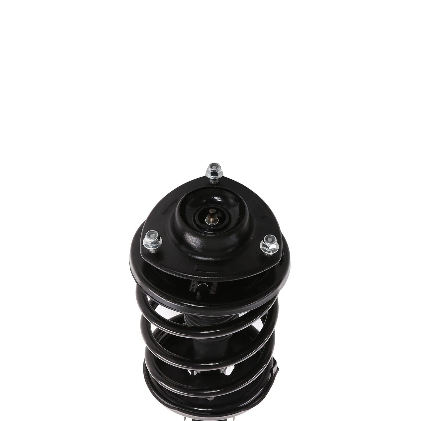 PRT Suspension Strut and Coil Spring Assembly 818939