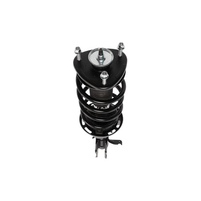 PRT PRT Complete Strut Assembly 819345