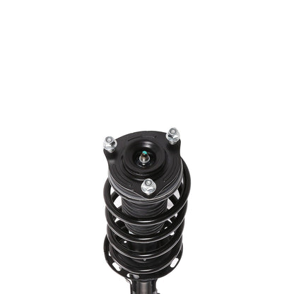 PRT PRT Complete Strut Assembly 819380