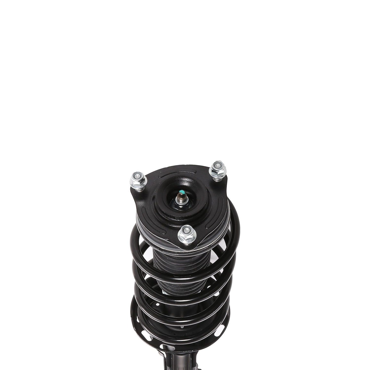 PRT Suspension Strut and Coil Spring Assembly 819380