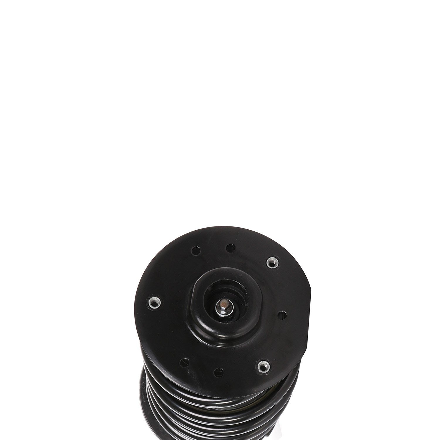 PRT Suspension Strut and Coil Spring Assembly 819569