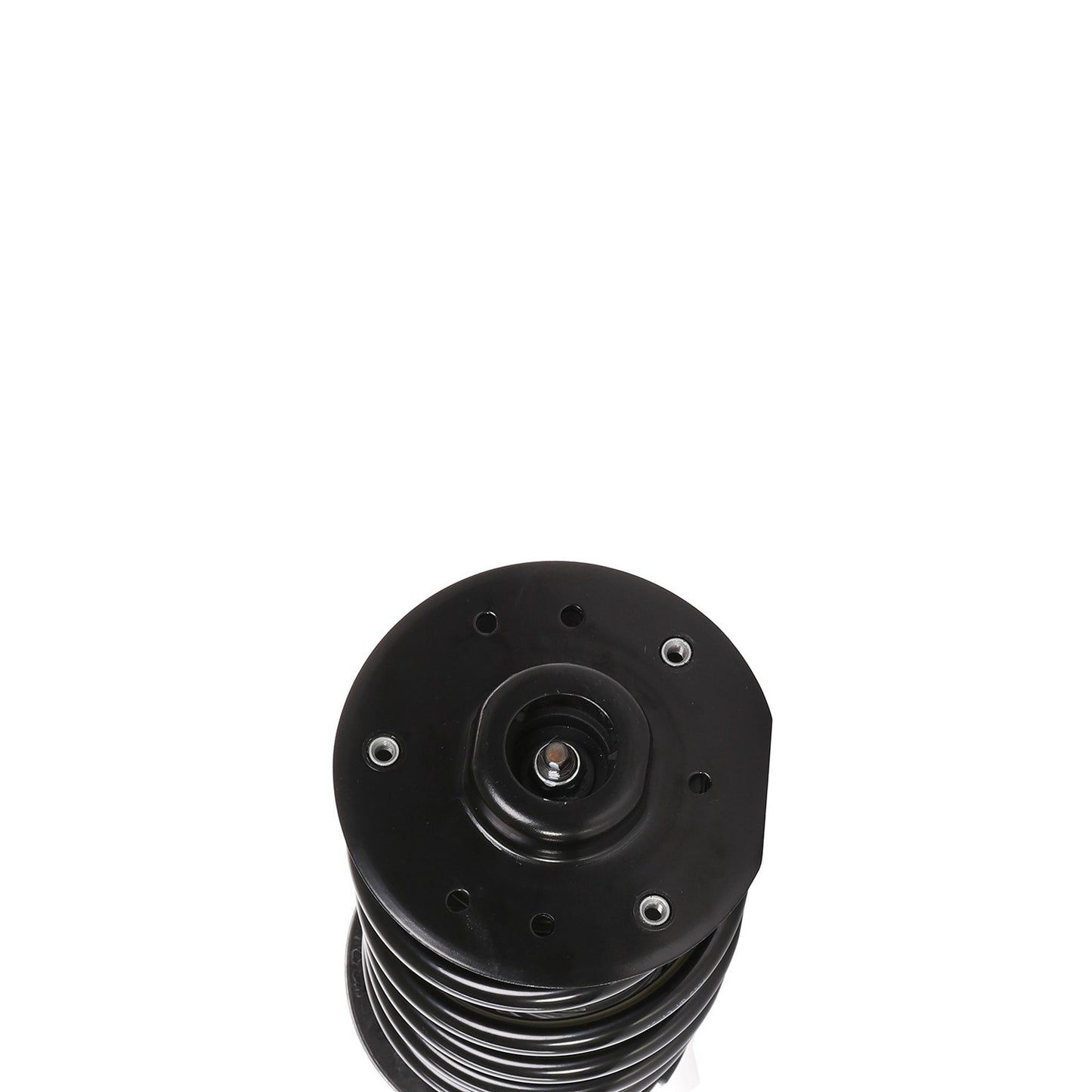 PRT Suspension Strut and Coil Spring Assembly 819569