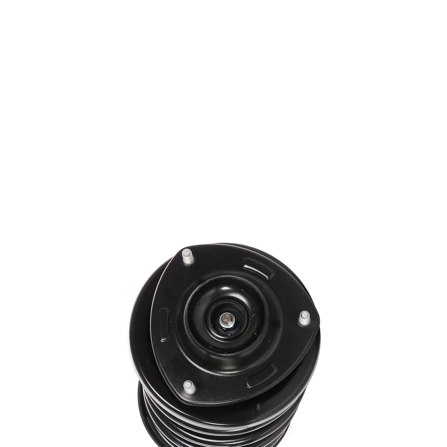PRT Suspension Strut and Coil Spring Assembly 819575